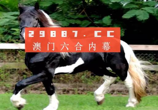 澳门和香港和香港一肖一码一待一中,精选解析、解释与落实