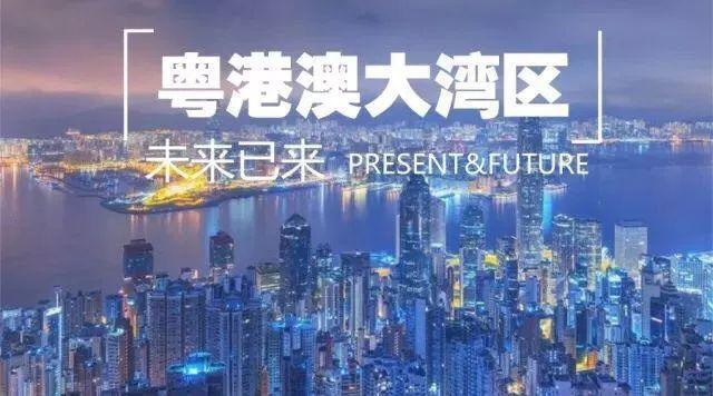 新2025全年澳门与香港新正版免费资料大全，详细解答、解释与落实