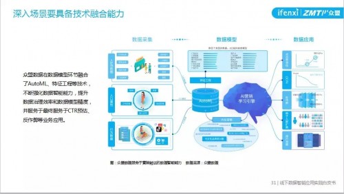 新澳2025全年正版资料免费资料公开，和平解答、解释与落实展望