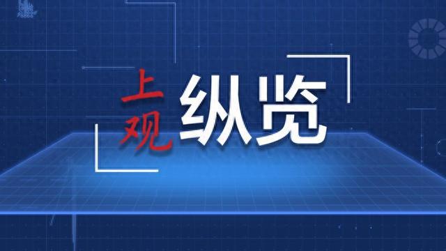 新澳门与香港正版精准免费资料大全，详细解答、解释与落实