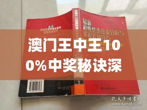 澳门王中王100%正确答案最新章节，全面释义、解释与落实展望