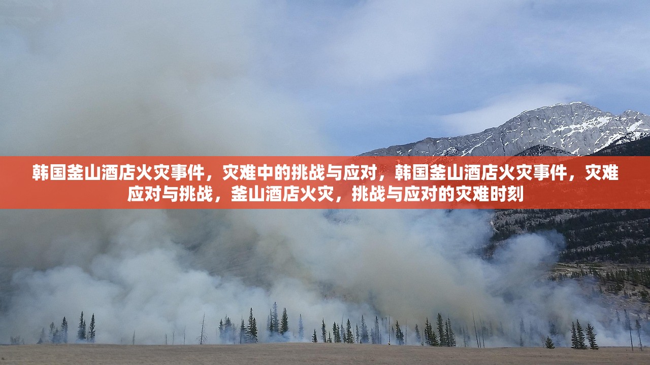 最新山火事件，挑战与应对策略