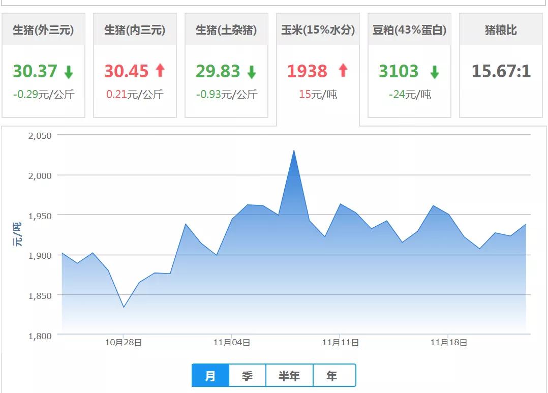 辽宁省最新猪价行情分析