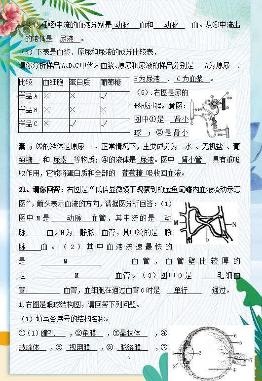 护考成绩查询最新，一站式查询服务，轻松掌握考试动态