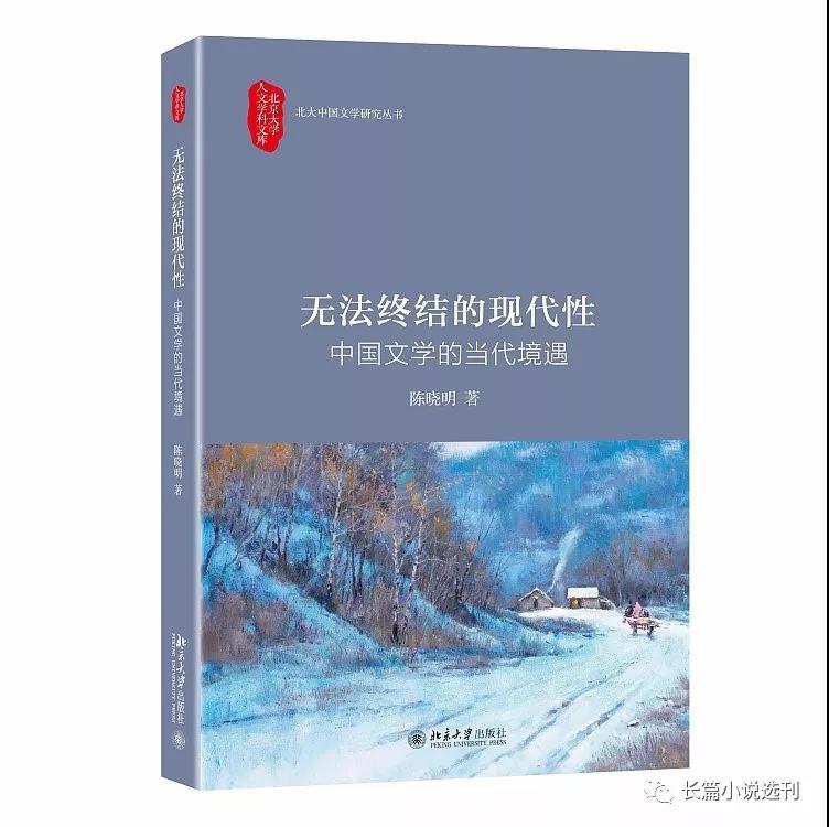 最新作家访谈，探索创作之路，揭示文学魅力