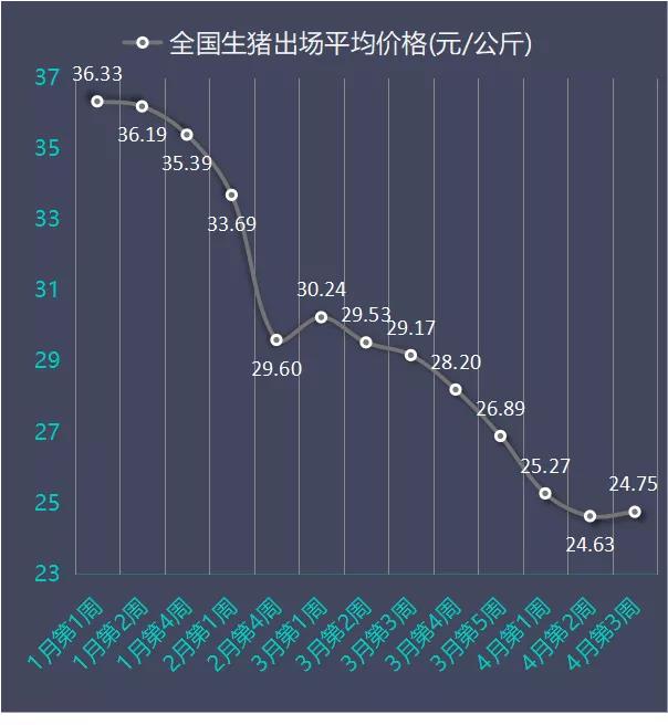 今日最新猪价全国分析