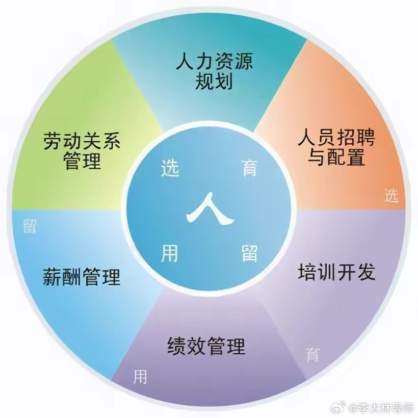 人事部最新通知，企业人力资源管理的关键变革与策略调整