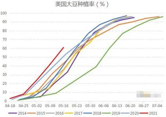 美国大豆价格最新动态，市场走势、影响因素及前景展望